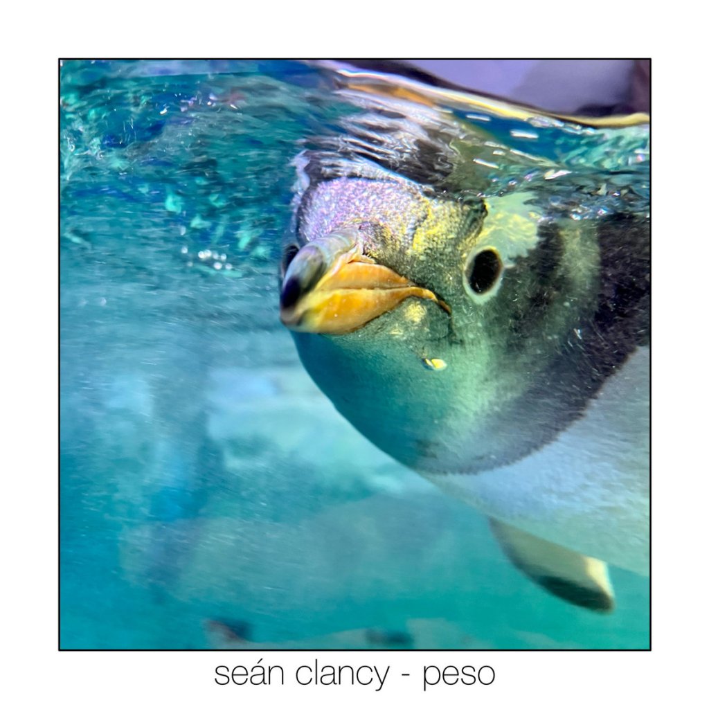 PESO RELEASED TODAY